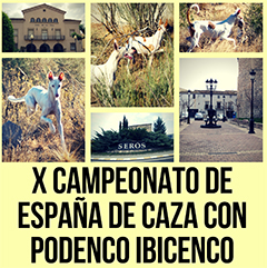 Serós albergará el próximo 6 de octubre el X Campeonato de España de Caza con Podenco Ibicenco